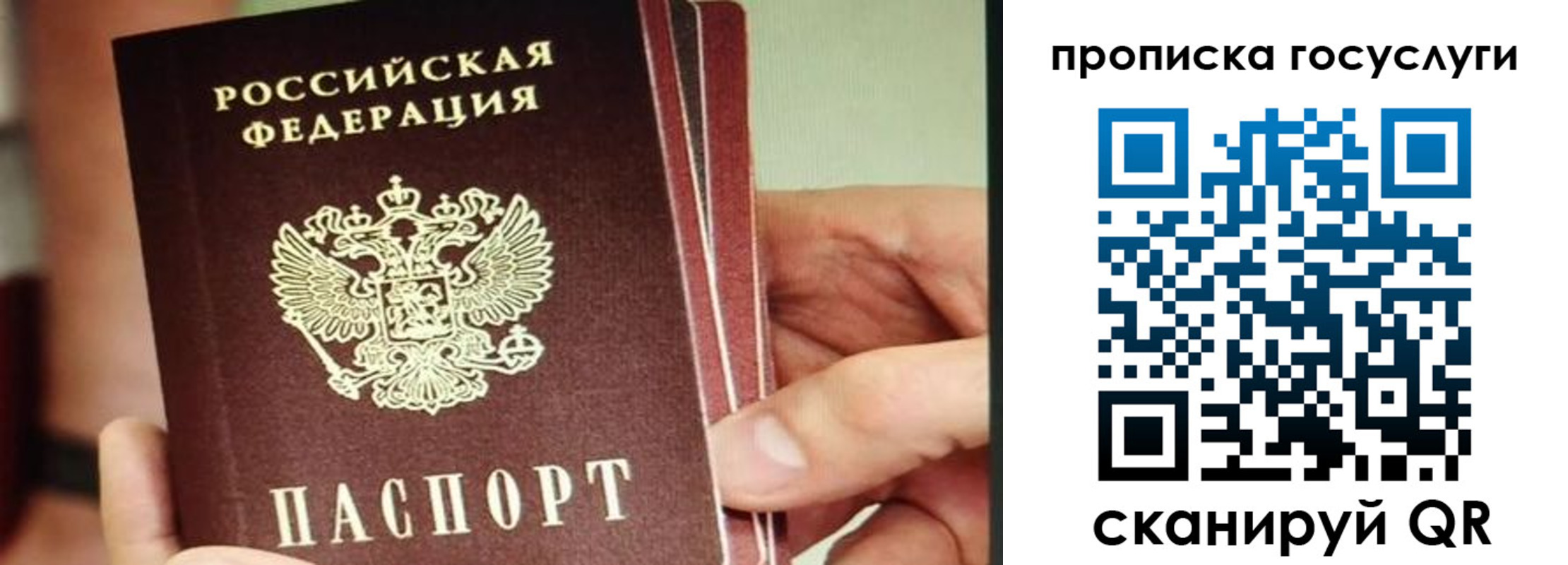 пропишу в квартире в Красноярске